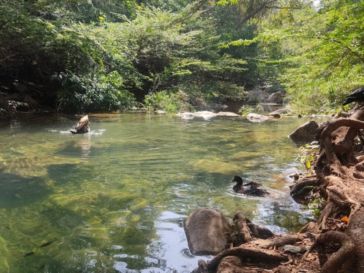 Contraloría advierte deficiencias en estudios sobre el Arroyo Bruno