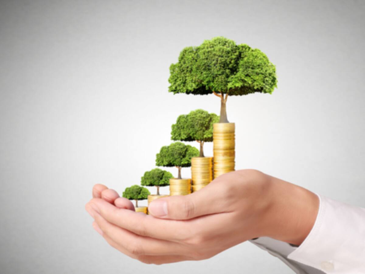 Las emisiones de bonos temáticos aumentaron un 28% en el 2023. ¿Que son y para qué sirven?