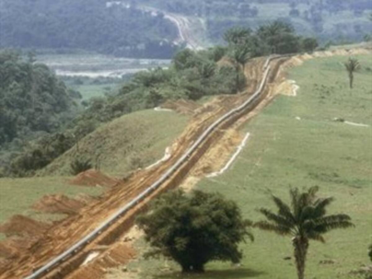Agricultores colombianos demandan a BP por negligencia