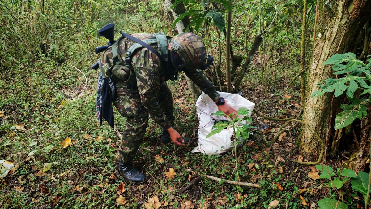 Ubican depósito de explosivos del ELN en el Catatumbo