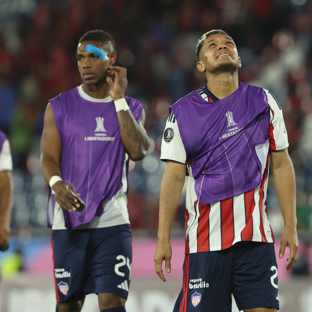 Junior cayó con Cerro Porteño y Palmeiras ganó: tabla de posiciones en Grupo F de Copa Libertadores
