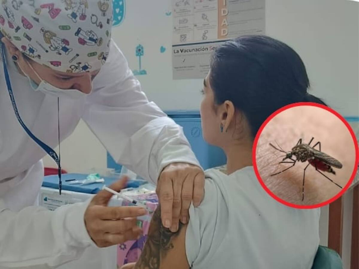 Médicos en el Quindío refuerzan el llamado a la vacunación contra la fiebre amarilla