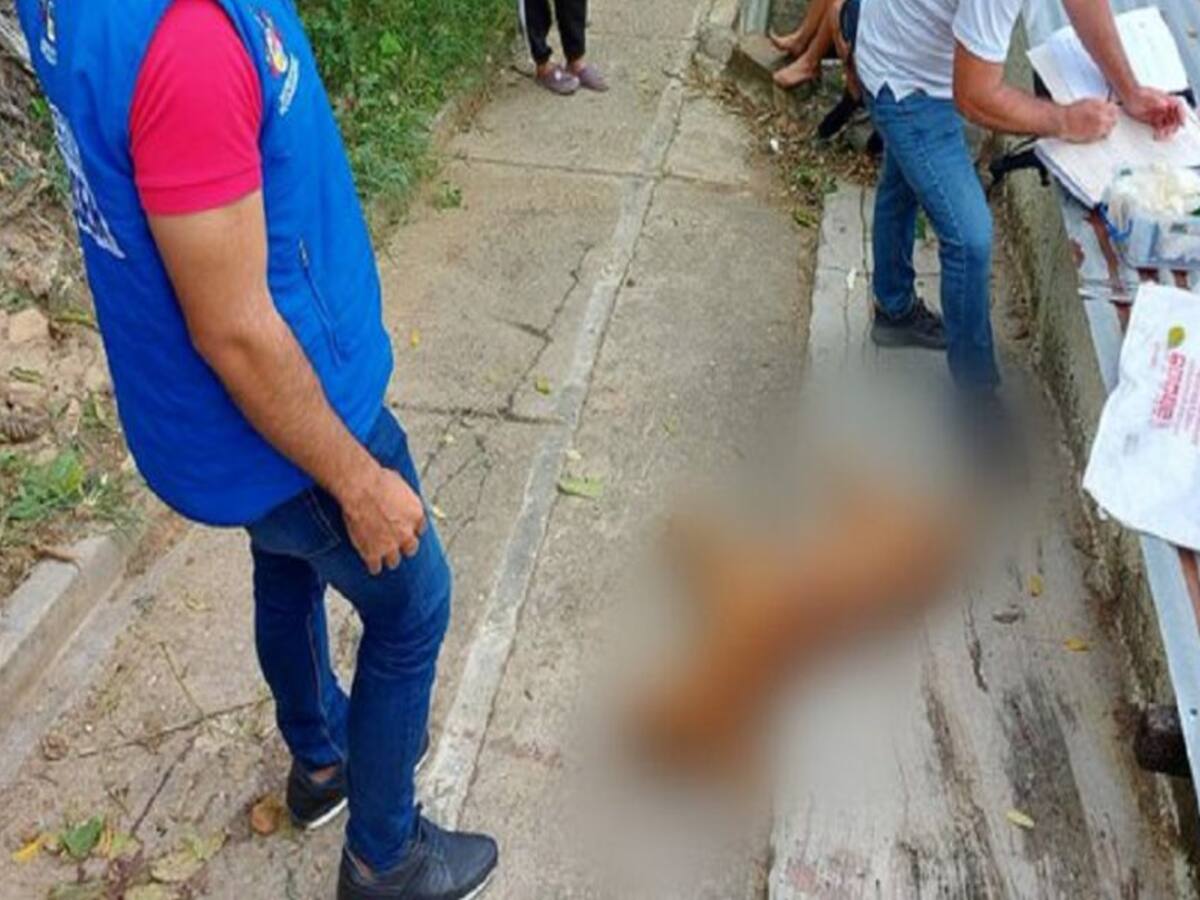 Capturan a un hombre que en un hecho de intolerancia apuñaló a un perro