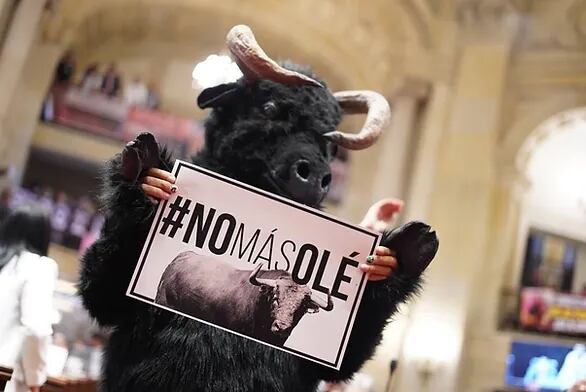 Es oficial: la prohibición de las corridas de toros será ley en Colombia. Vía: Senador Alex Flórez #NoMásOlé.