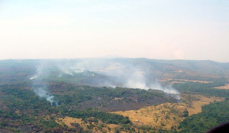 Incendio forestal en el centro del país