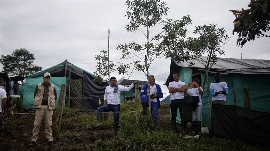 Zonas de concentración . Foto:Colprensa