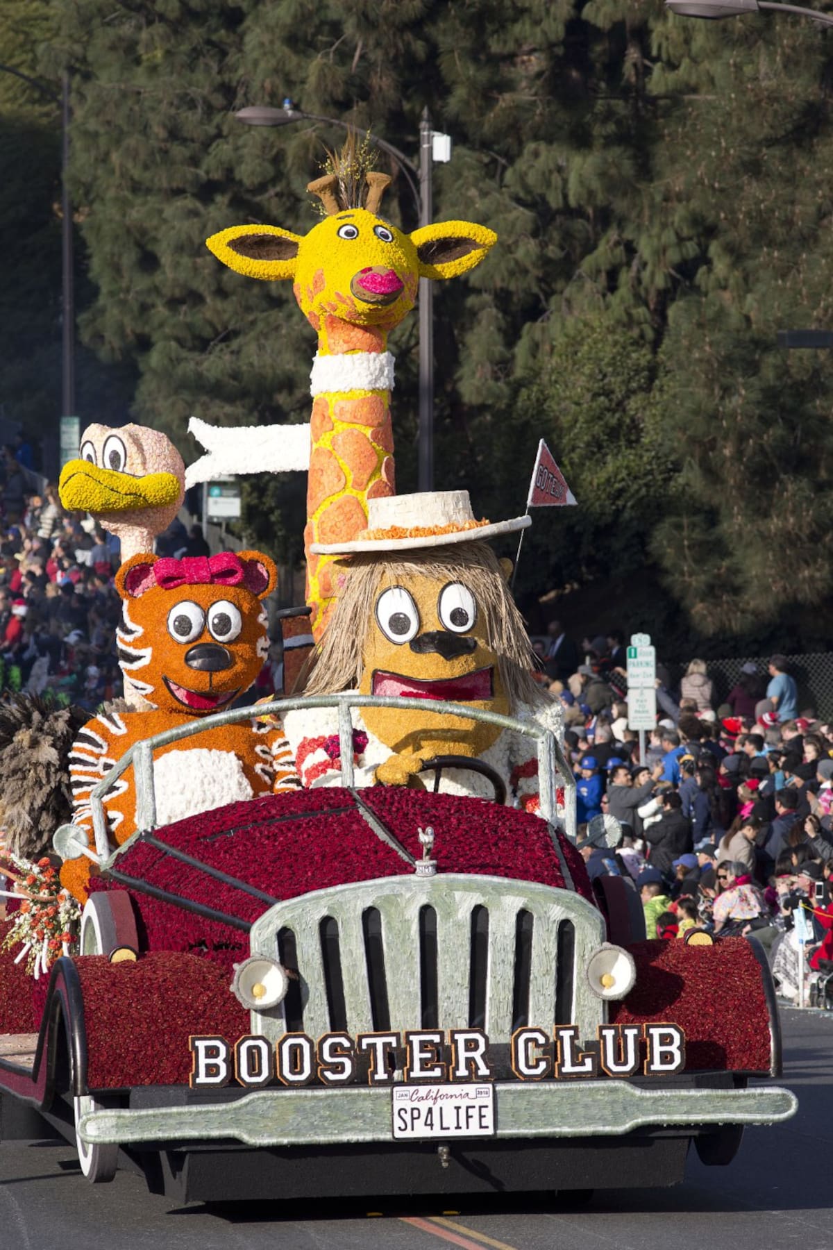 Durante la 129° edición del "Desfile de las rosas" decenas de carrozas llegan a la las calles de Pasadena (California) para deleitar a los asistentes con coloridas y divertidas figuras. 