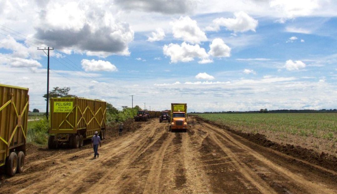 Imagen de referencia