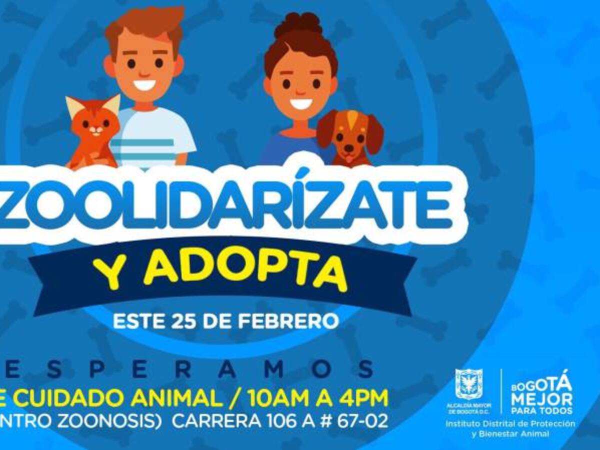 ¡Anímese! Gran jornada de adopción de animales en Bogotá