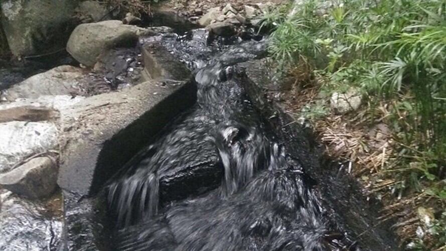 Caño Limón Coveñas. Foto: Colprensa