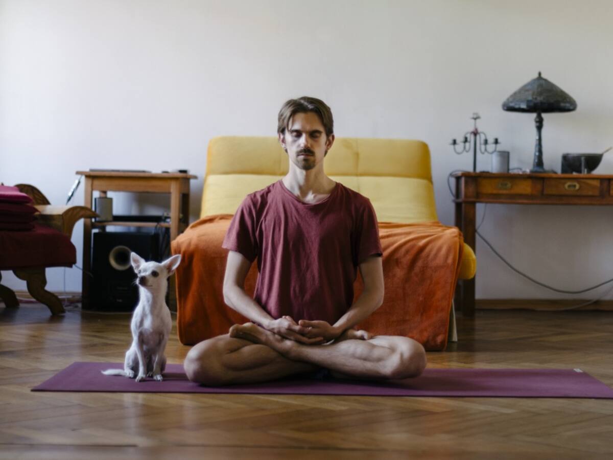 En Armonía: Conozca los secretos de la seducción y la persuasión