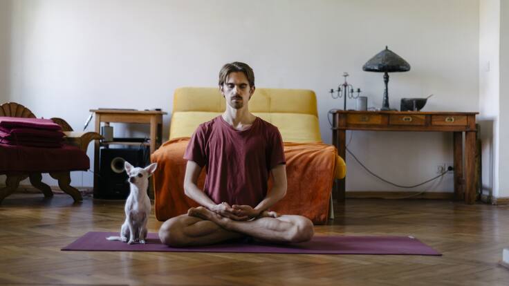 En Armonía: Conozca los secretos de la seducción y la persuasión