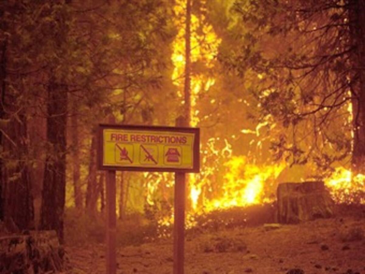 Declaran estado de emergencia en California por incendio que arrasa 51.000 hectáreas