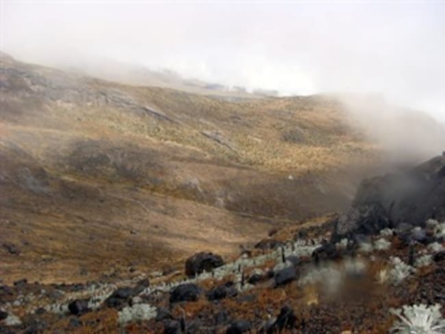 Restringen el ingreso al parque natural Los Nevados por actividad del Volcán del Ruiz