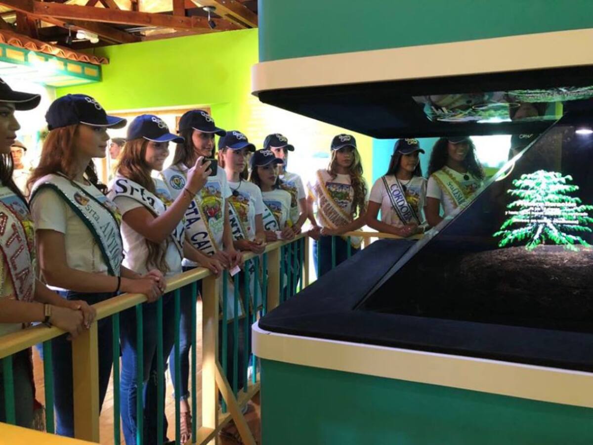 Conocieron el proceso del café en el parque de los colombianos