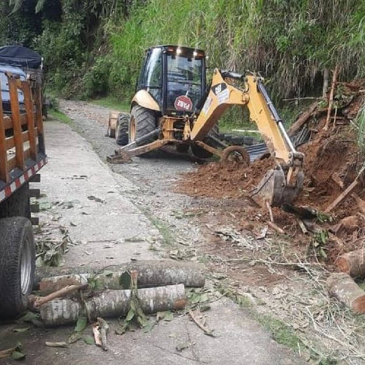 Ocho municipios del Quindío afectados por vendaval, alerta por derrumbes