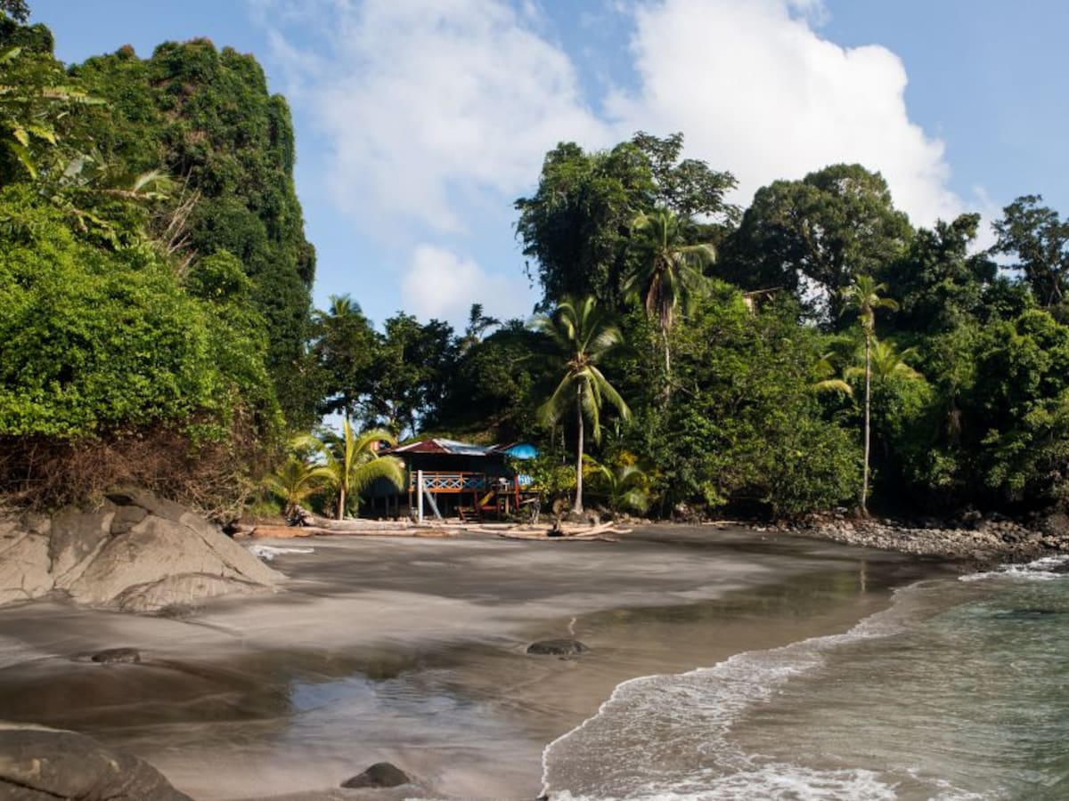 Se cayó el proyecto portuario en Tribugá