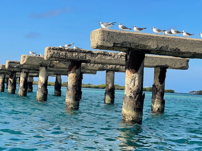 Aruba, un destino turístico con variedad de planes y experiencias para vivir