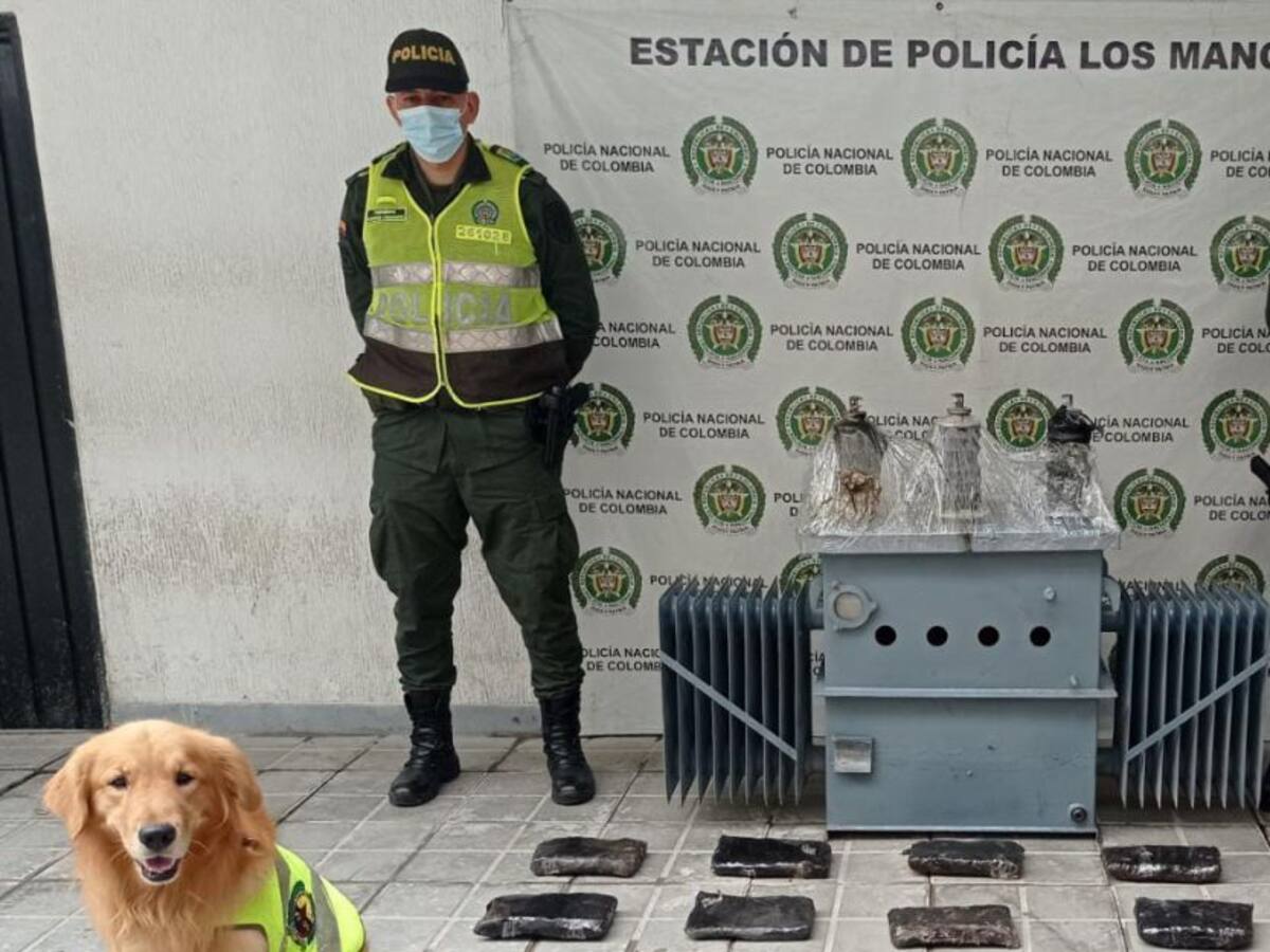 Más de 200 kilos de marihuana incautados en controles del plan retorno