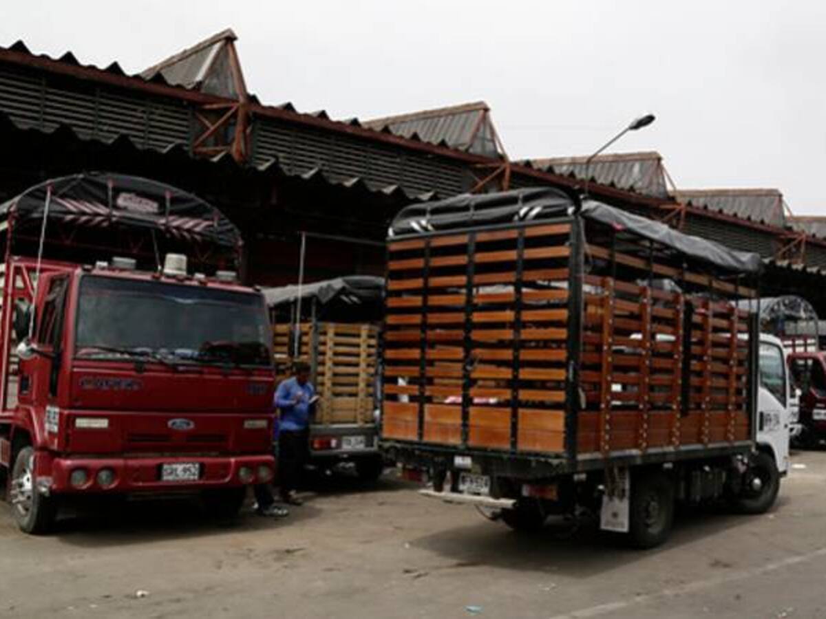 Rescatan menores que fueron sorprendidos trabajando en Corabastos