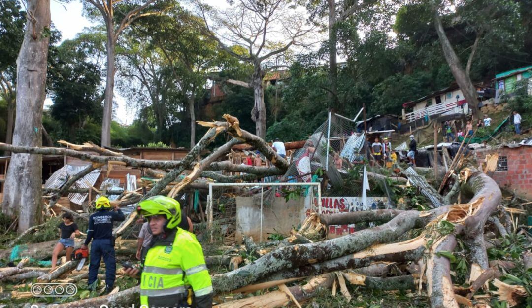 Caída de árbol sobre carro