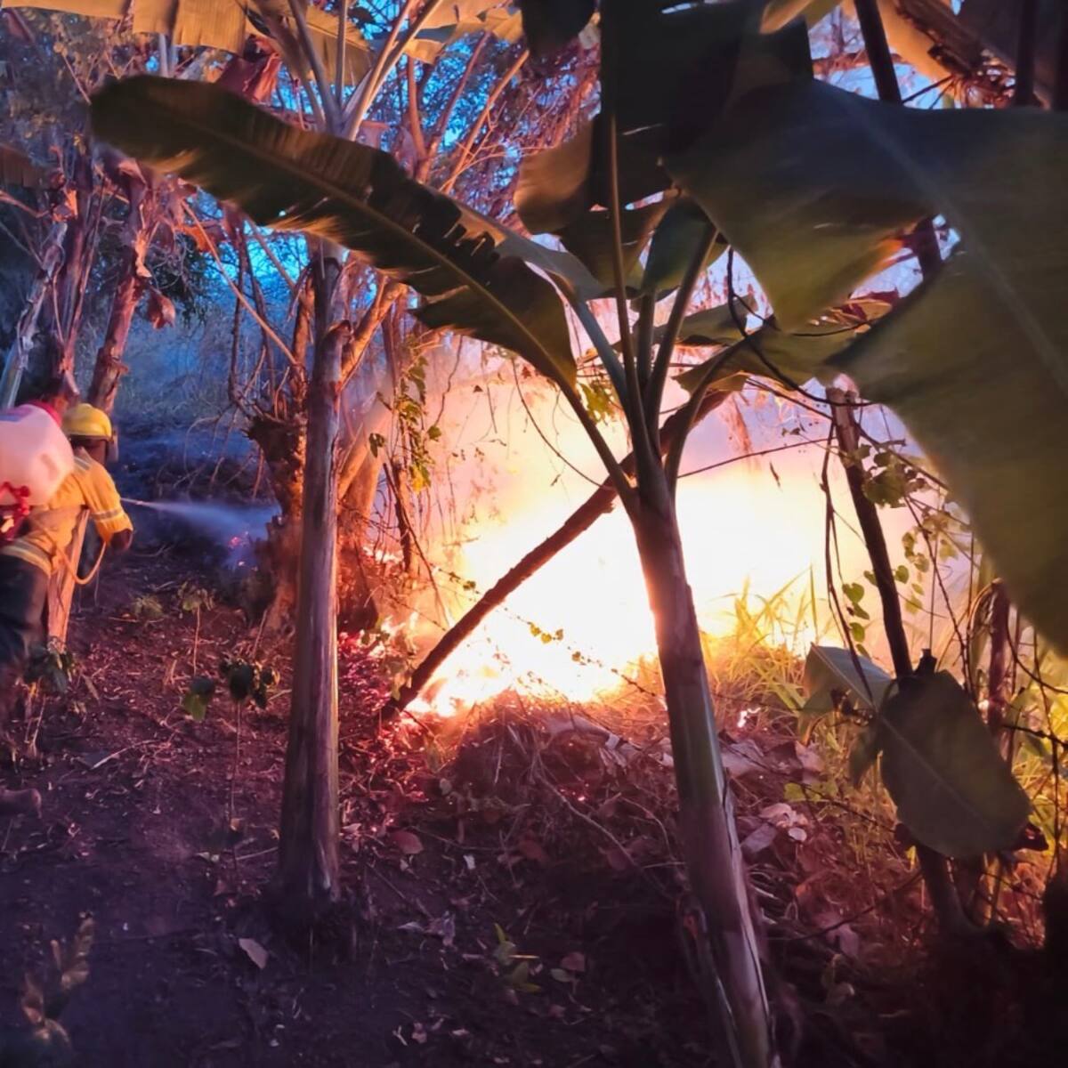Bomberos controlan incendio forestal en Villeta en un 80%: más de 50 hectáreas afectadas