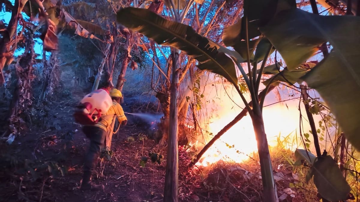Cundinamarca ha registrado 50 incendios forestales en septiembre