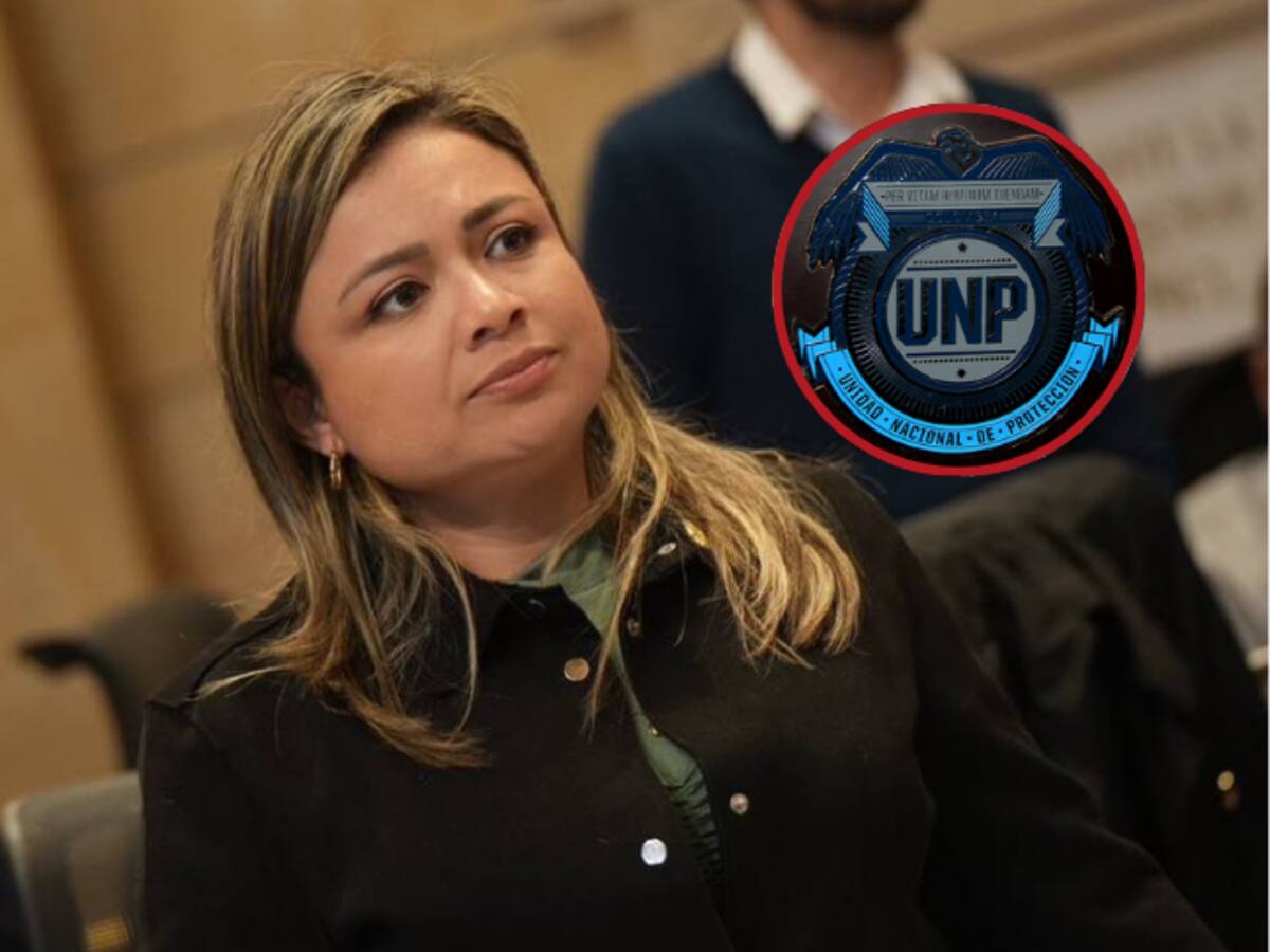 Pese a amenazas del ELN en mi contra, UNP decidió quitar mi esquema: congresista Garrido