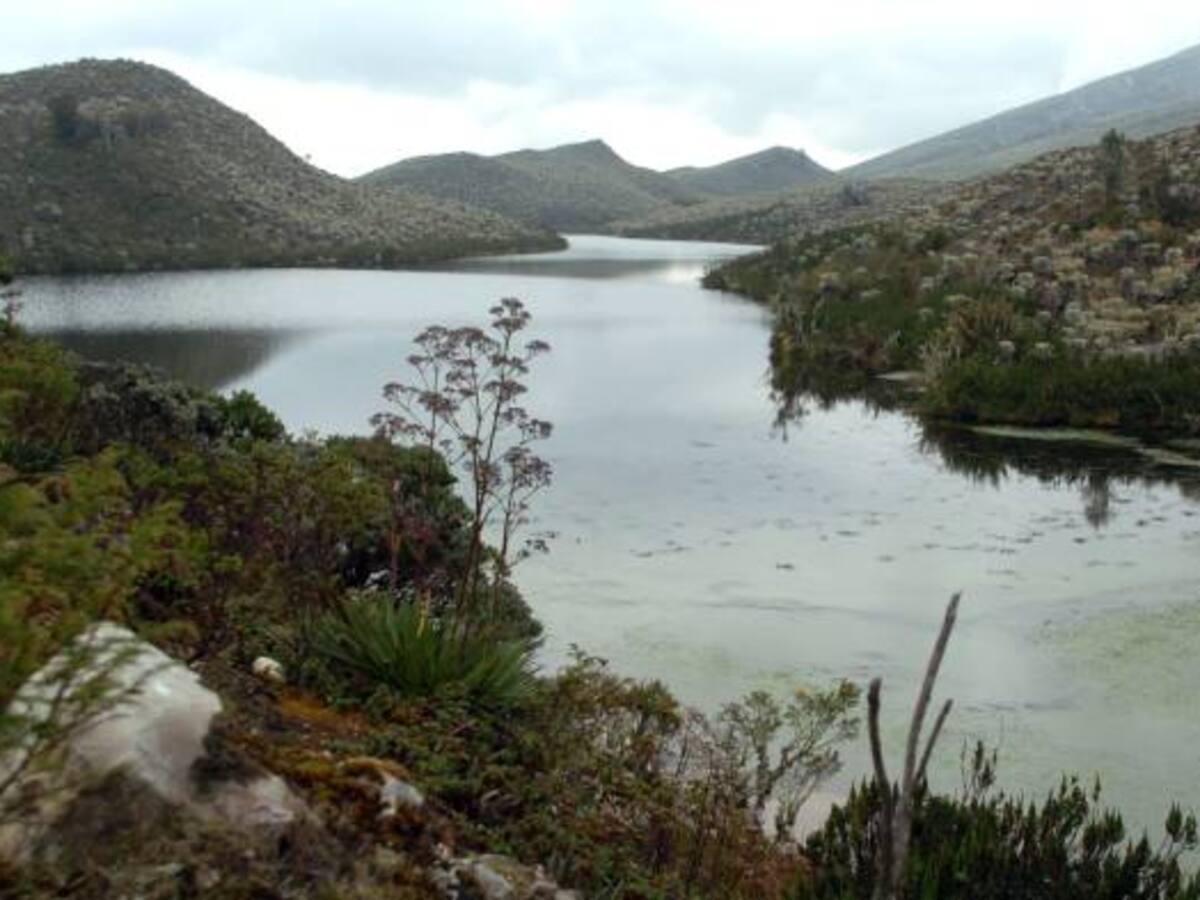 Embalses que surten de agua a Bogotá se encuentran en buen nivel de almacenamiento