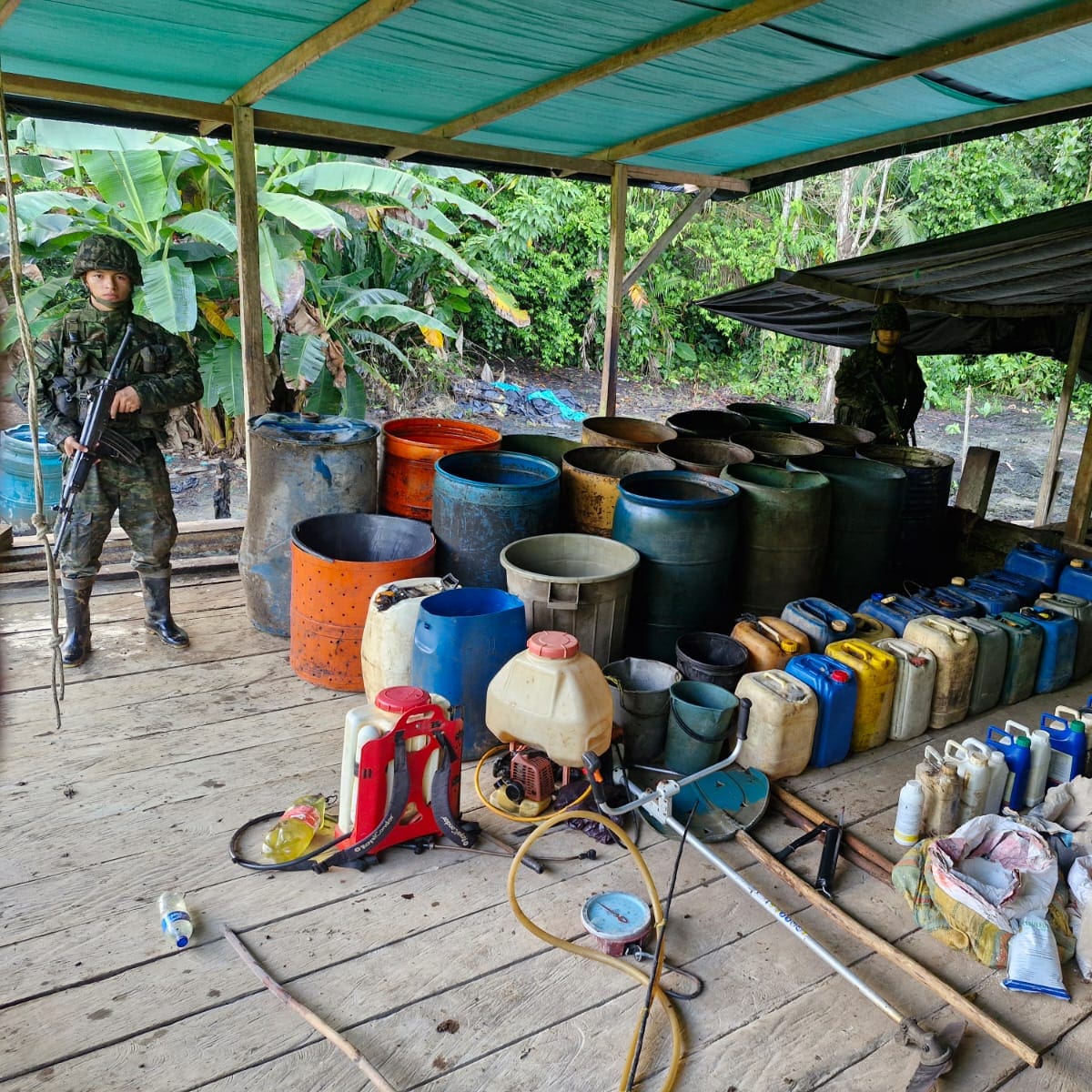 Ejército y Armada destruyen complejo para procesar coca del Clan del Golfo en Urabá antioqueño