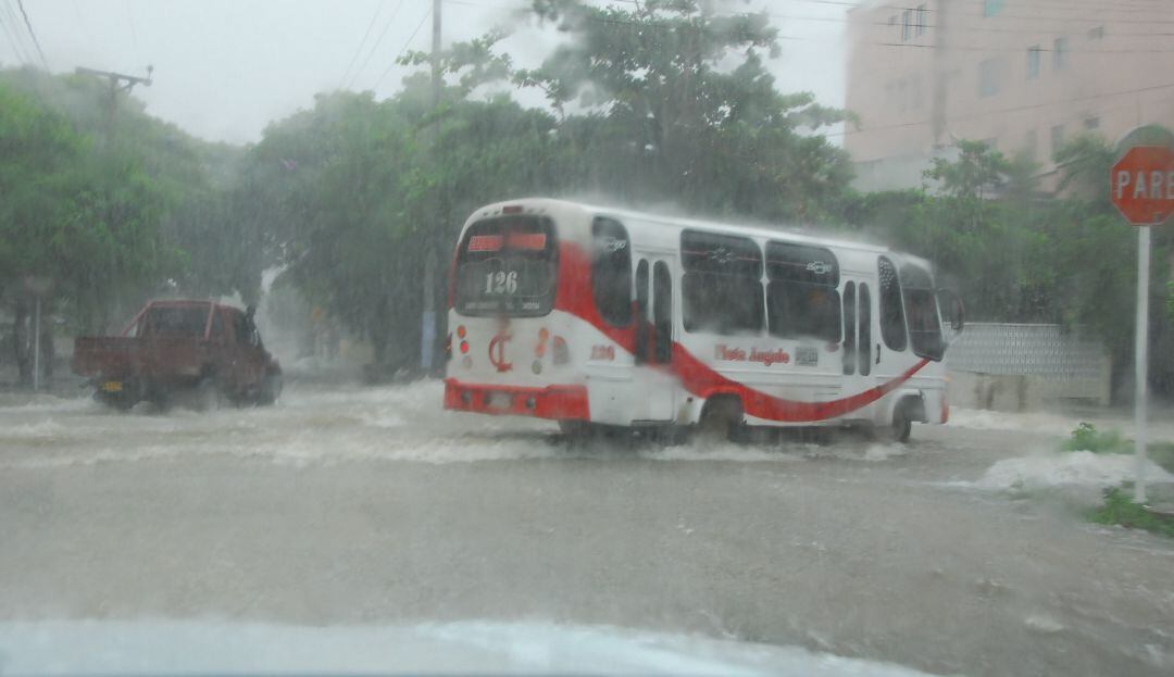 Imagen de referencia