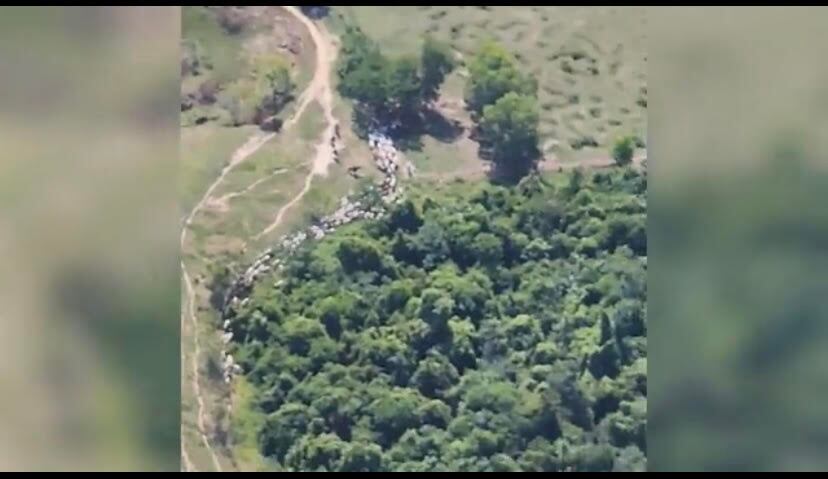 El Ejército informó que con los operativos aéreos lograron dar con el paradero de los trabajadores. Foto: Ejército Nacional.