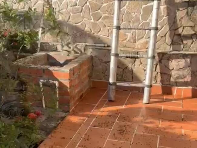 Proliferación de moscas en la vereda Galán de Villa del Rosario genera preocupación