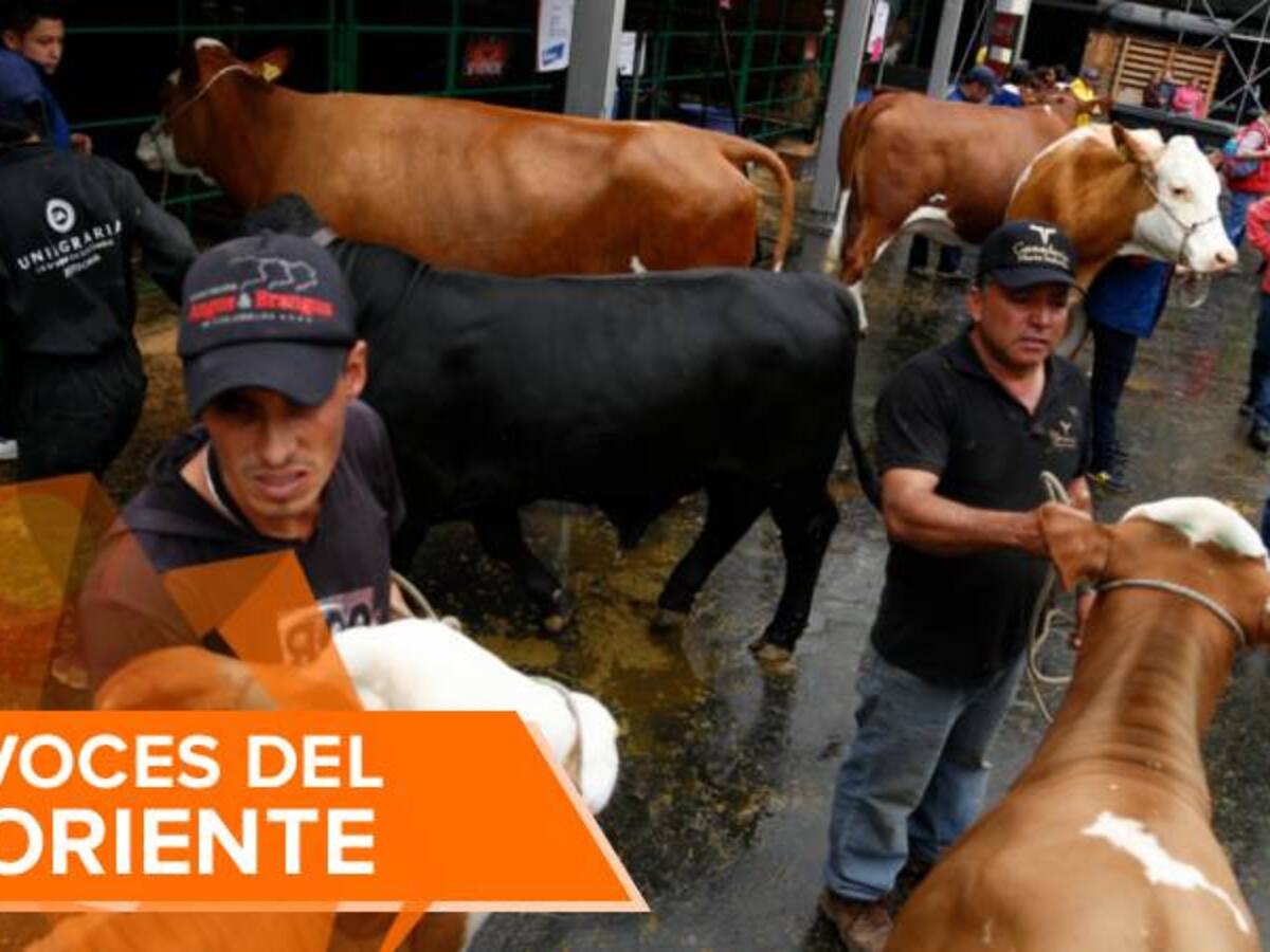 ¿Hay déficit de plantas de sacrificio de ganado por cuenta de una ley que debe aplicarse ya?