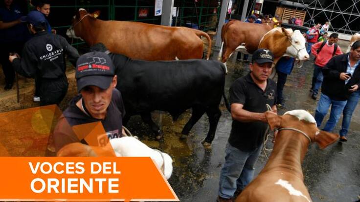 ¿Hay déficit de plantas de sacrificio de ganado por cuenta de una ley que debe aplicarse ya?