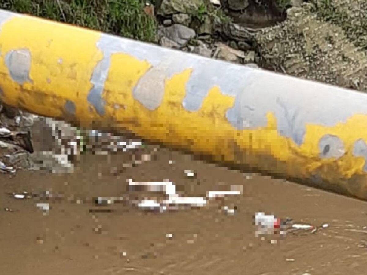 Ofrecen recompensa por responsables de lanzar dos cadáveres al río Medellín