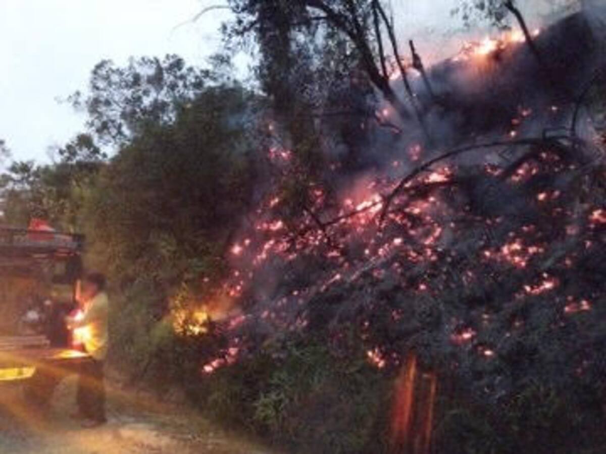 Unas 403 hectáreas de bosque han sido afectadas por los incendios forestales en Antioquia