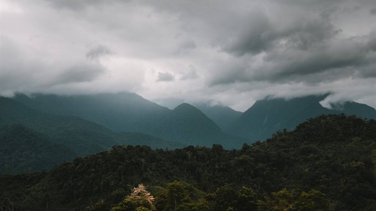 Planeta Caracol La Orinoquía frente al Cambio Climático
