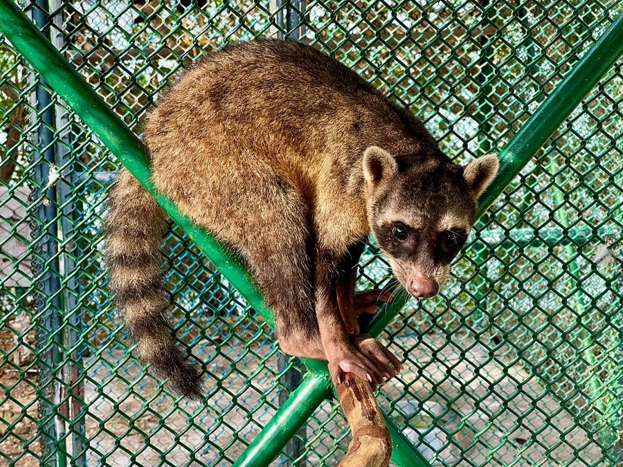 Departamento de Policía Bolívar