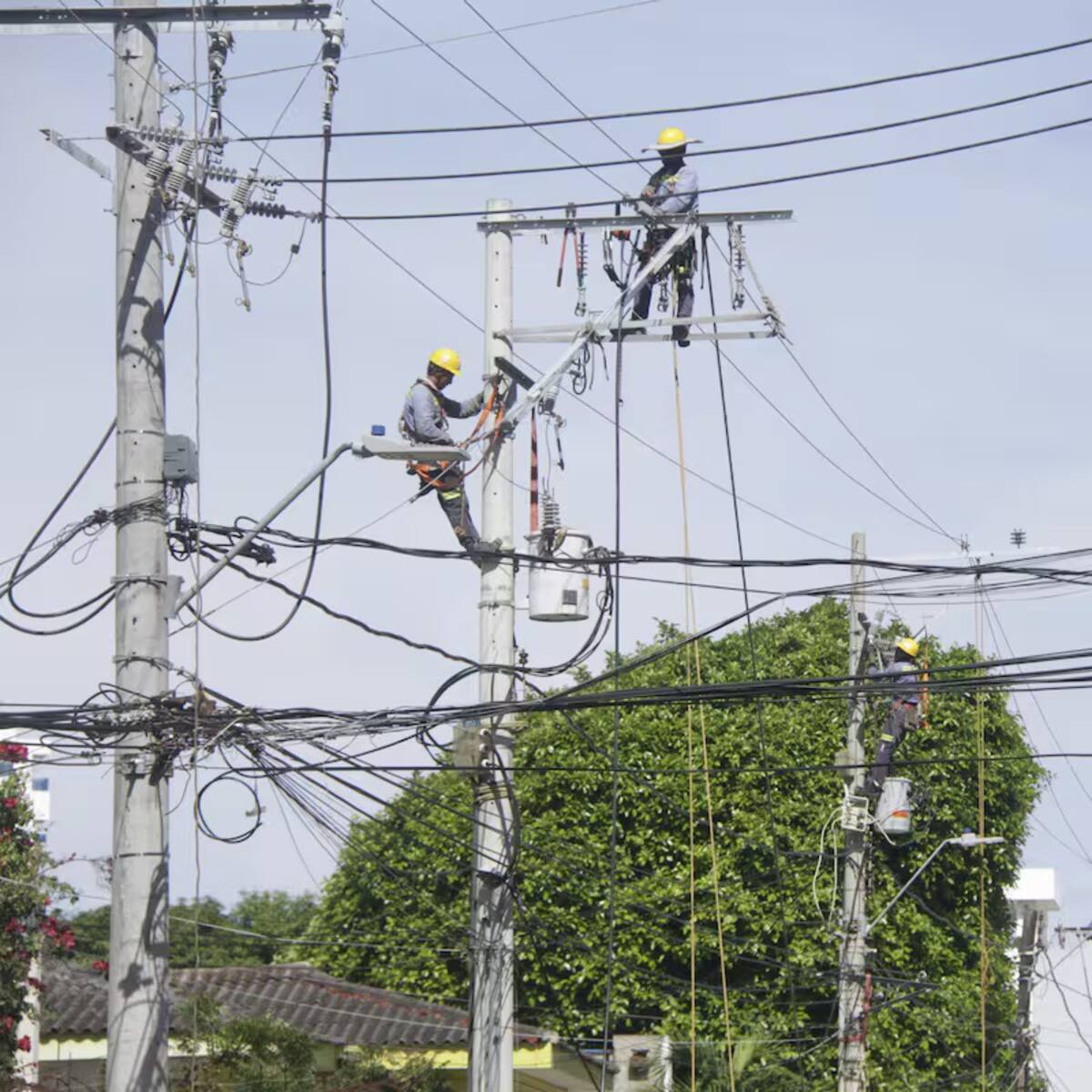 Afinia realizará trabajos de renovación eléctrica en San Jacinto del Cauca