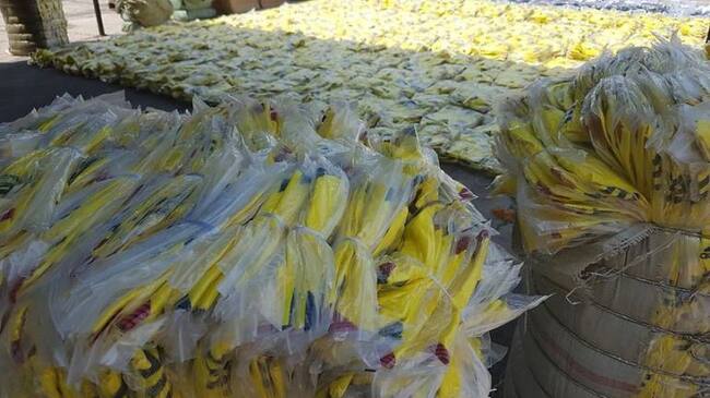 Camisetas de Colombia