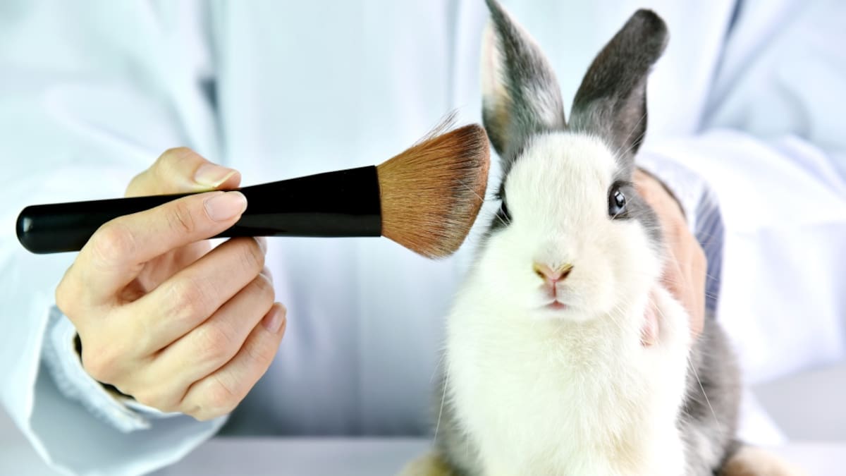 ¿Cómo saber si un producto fue testeado en animales?