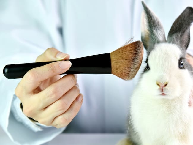México prohíbe pruebas de cosméticos en animales