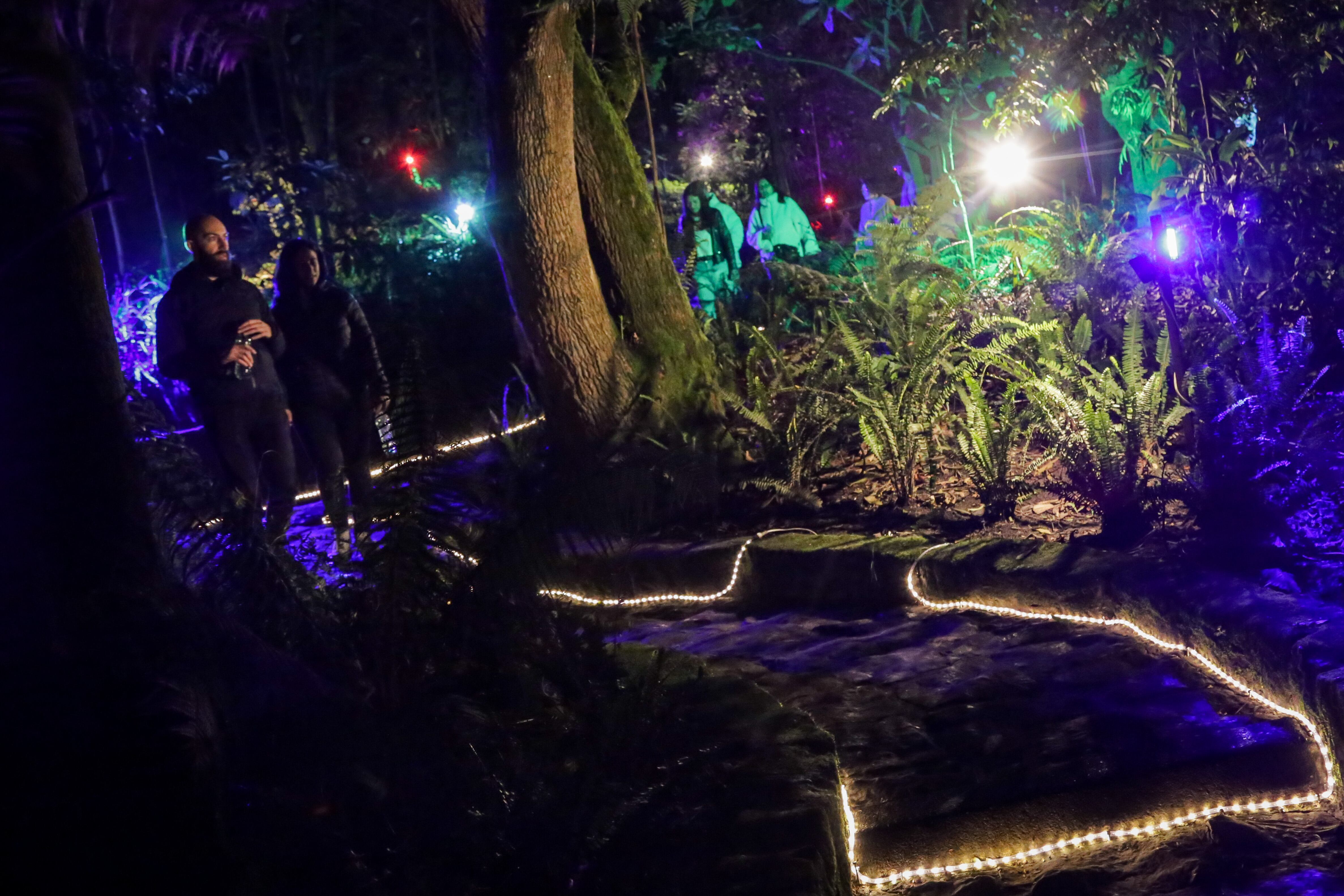 El Jardín Botánico de Bogotá / (Colprensa-Mariano Vimos)