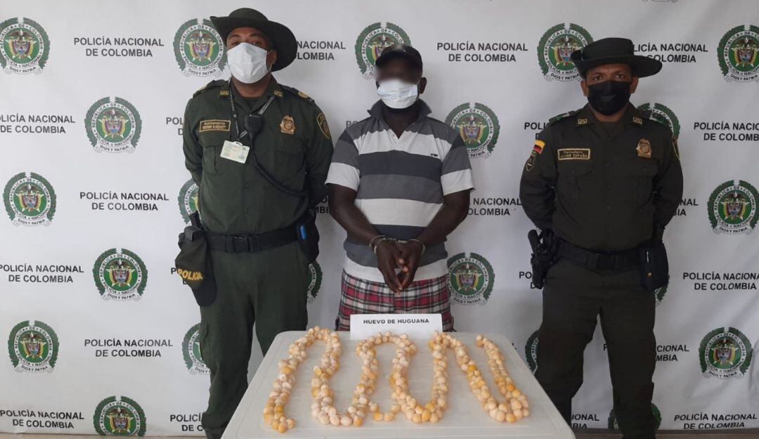 Además, rescataron 19 aves silvestres, un perezoso y una serpiente que estaban en cautiverio