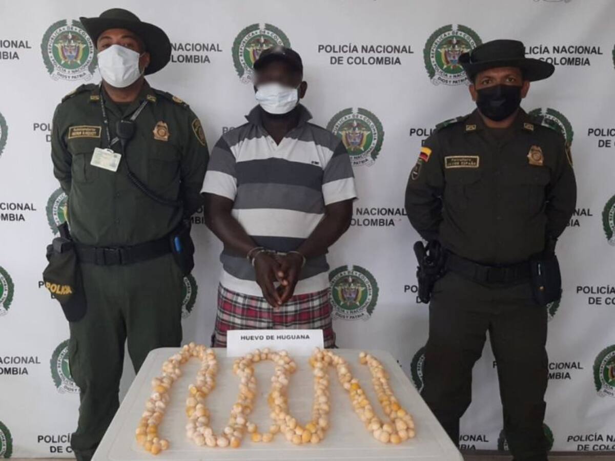 Primer capturado por comercializar huevos de iguana en Cartagena