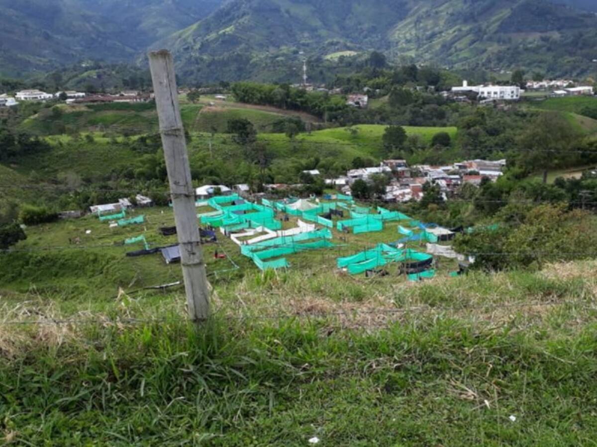 Buscan frenar asentamientos en municipios del Quindío