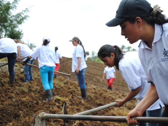 Sena Antioquia ofrece 500 cupos para formación agropecuaria