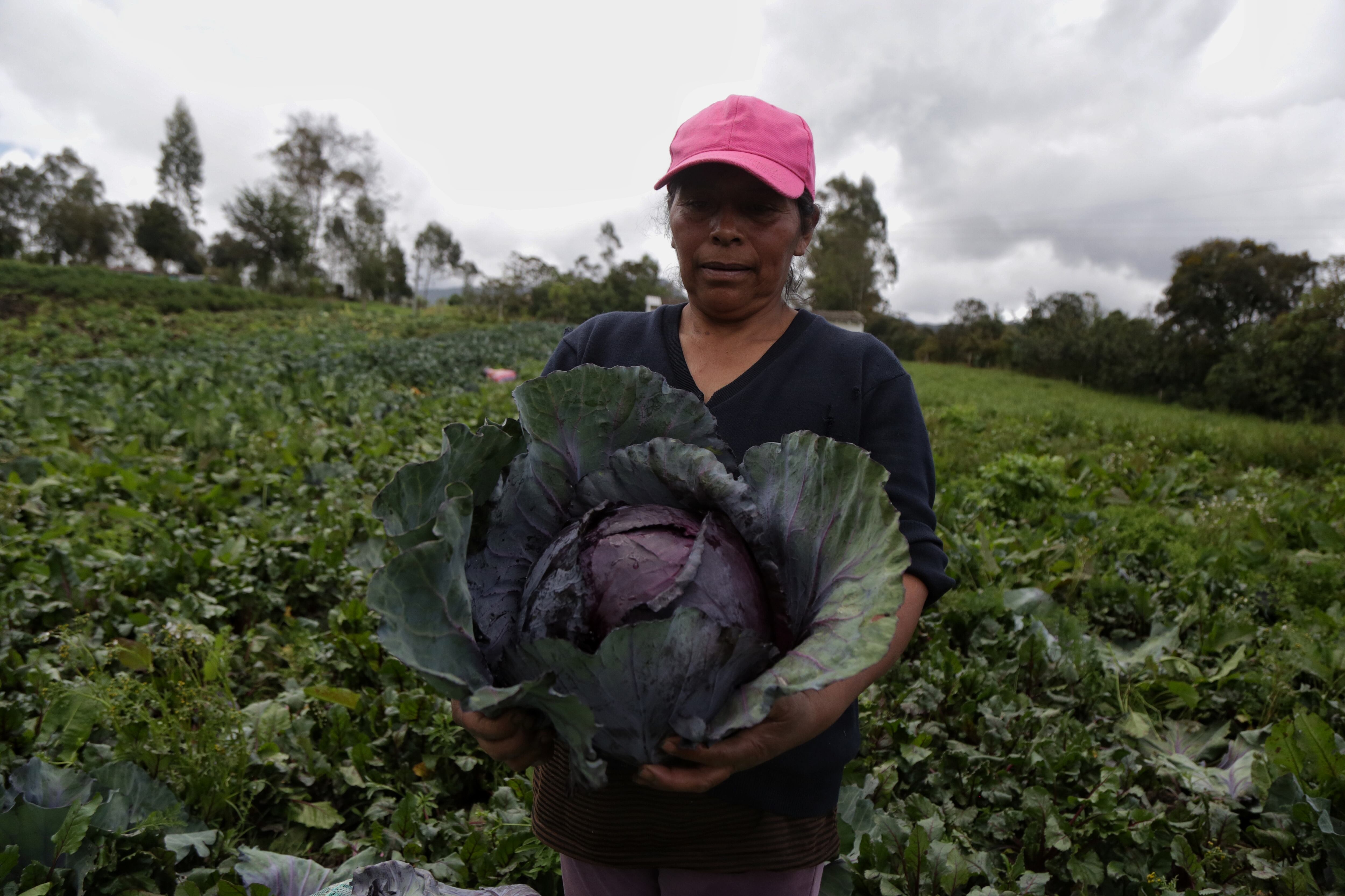 La Cámara de Representantes aprobó en cuarto debate el proyecto de acto legislativo que reconoce al campesinado como sujeto político y de derechos (Colprensa: Camila Díaz)