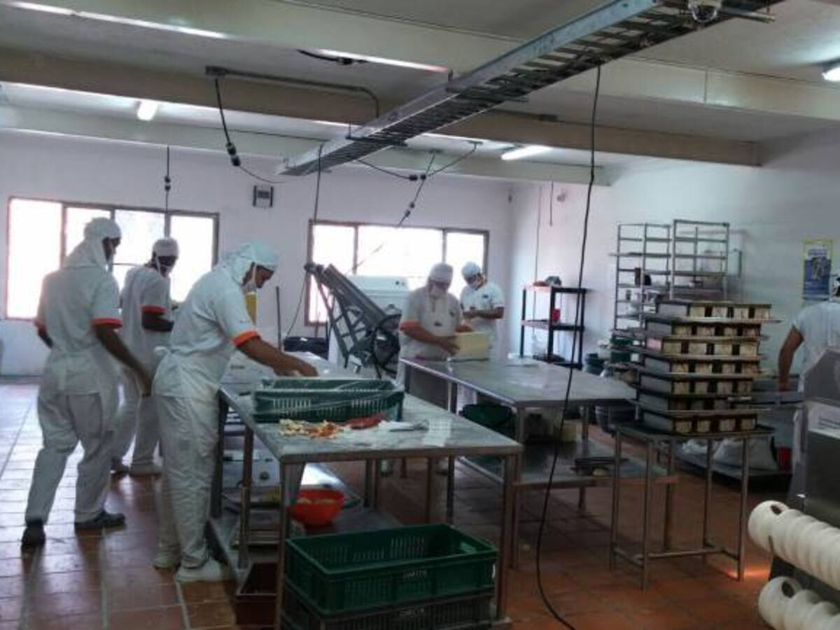 Panaderías al borde de la quiebra por alzas en el precio del azúcar